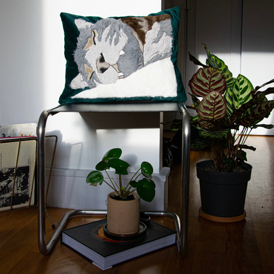 Coussin